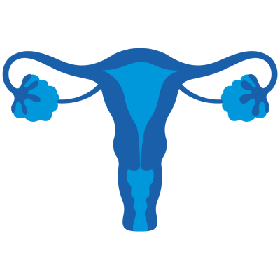 Histerossalpingografia