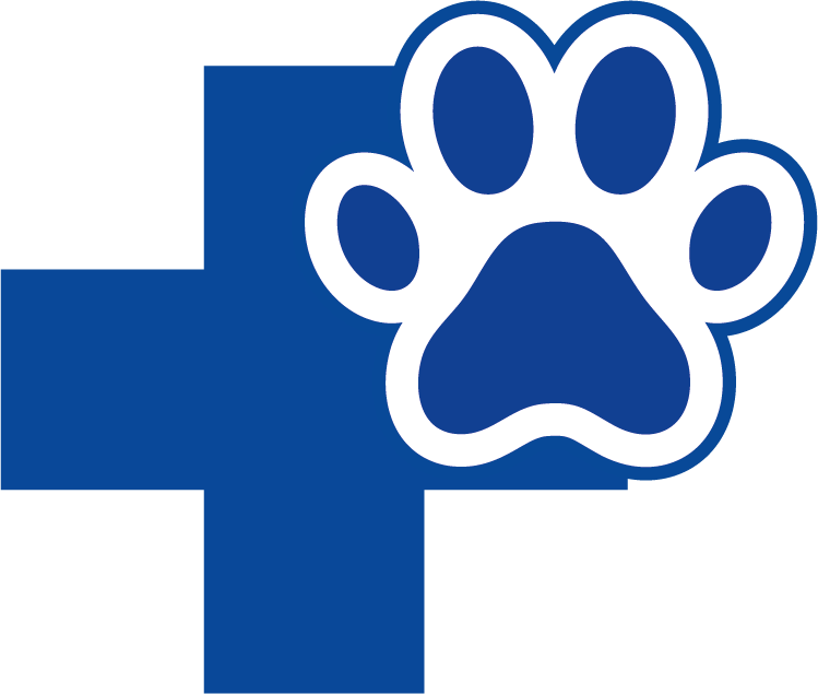 Exames e Diagnósticos